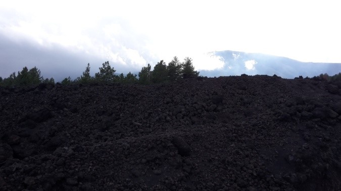 Остатки леса среди лавового потока