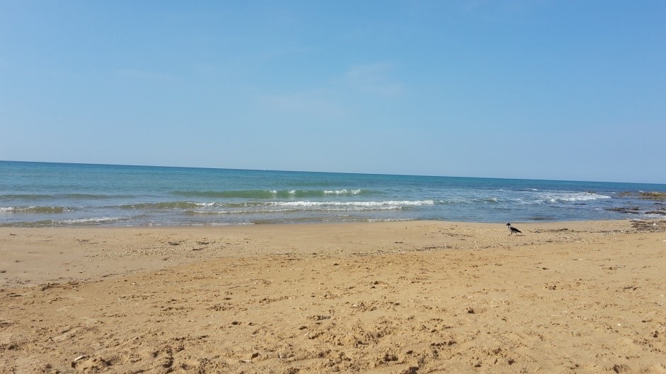 Пляж в коммуне Казучче