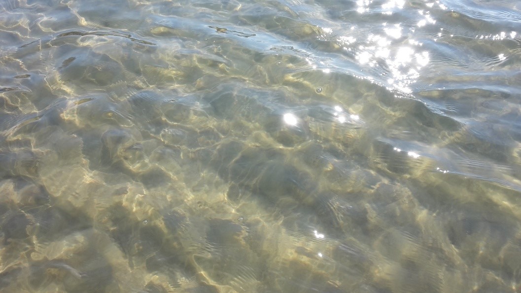 До свидания, море